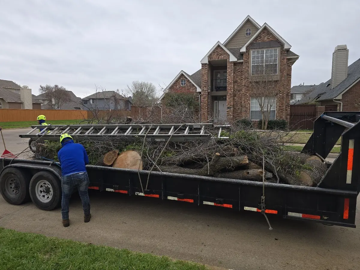 Expert Tree Fertilization with proper safety equipment in Second Mesa